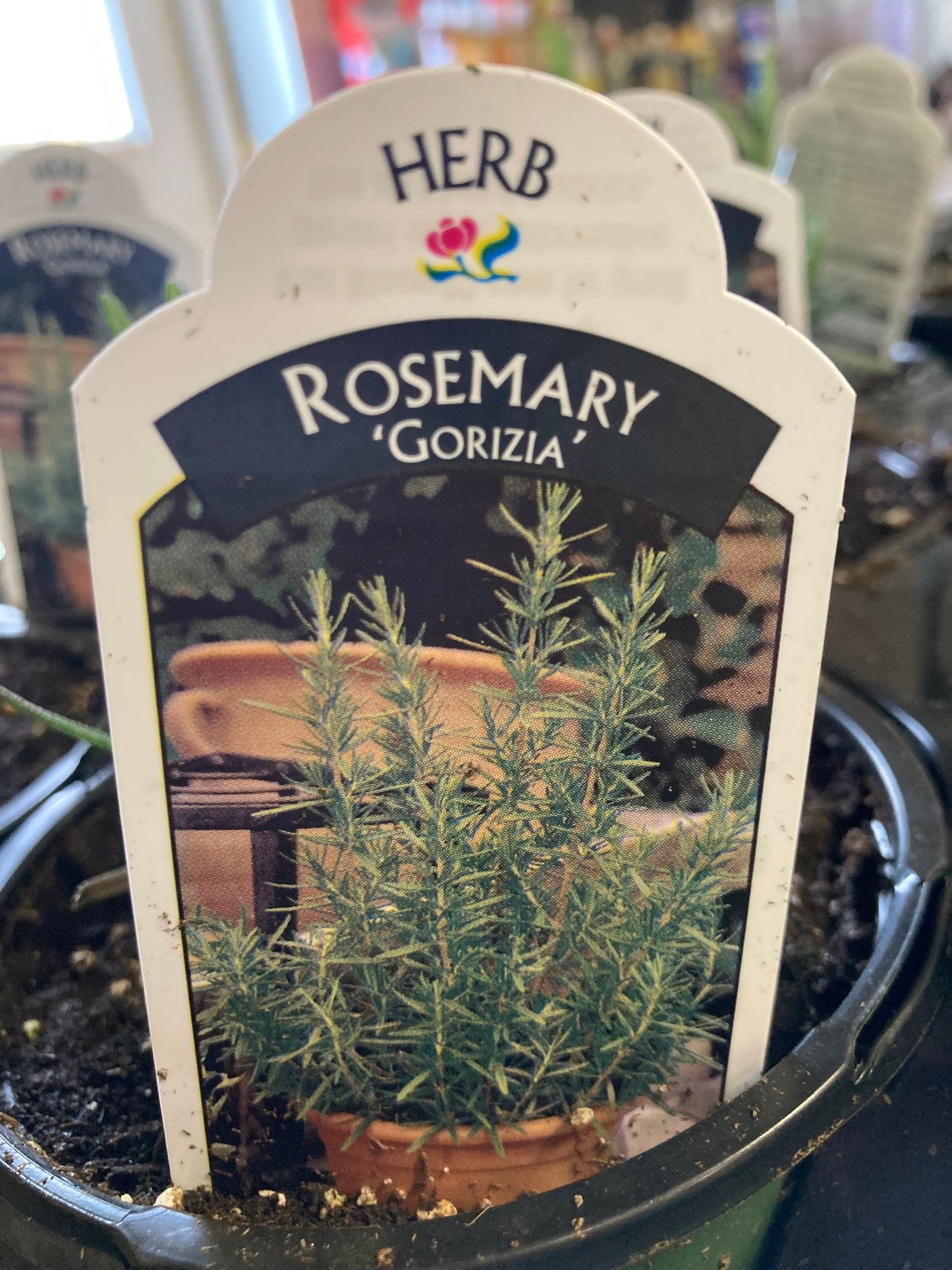 Rosemary