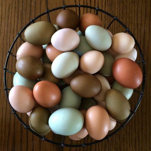 Farm Fresh Eggs
